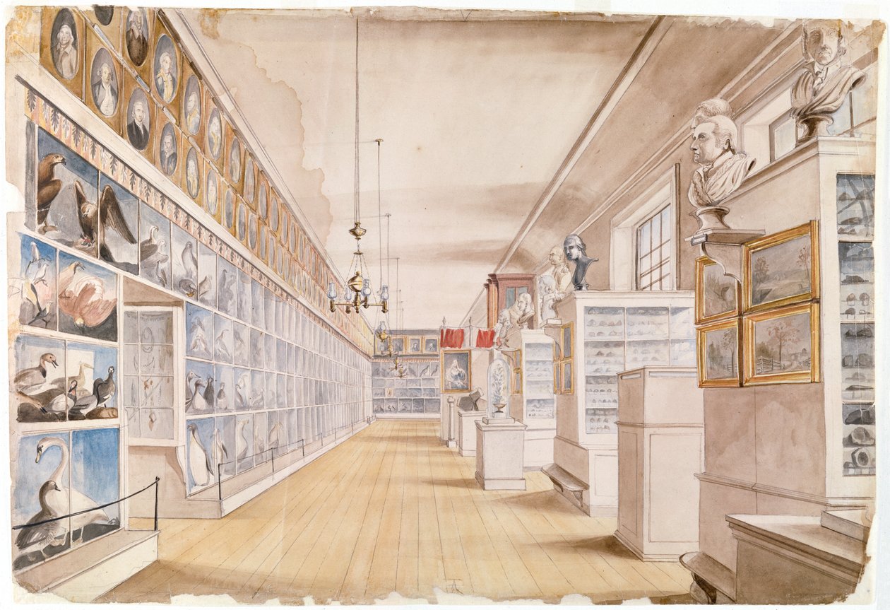 La Sala Larga, Interior de la Sala Frontal en el Museo de Peale, 1822 de Charles Willson Peale