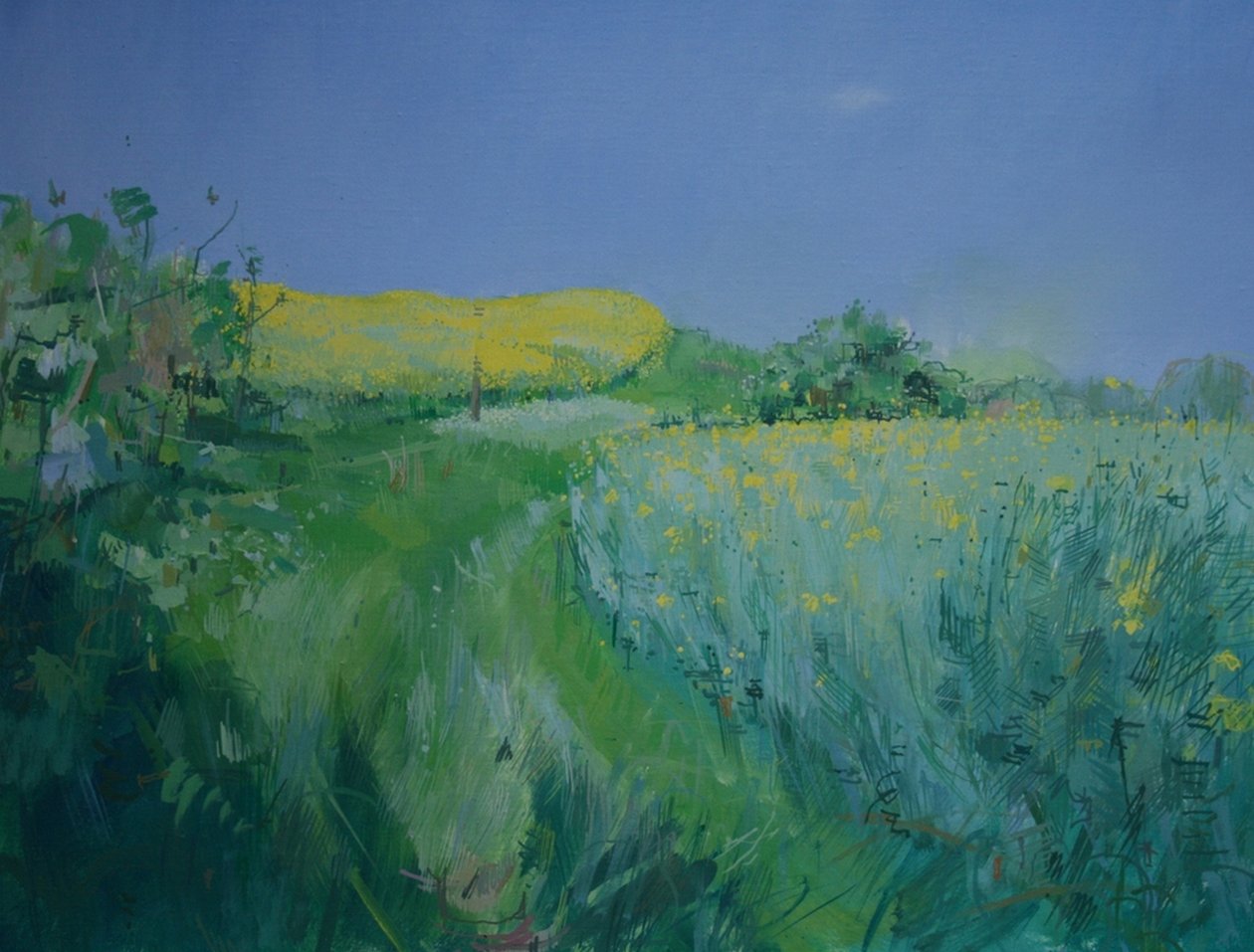Mayo de Charlie Millar
