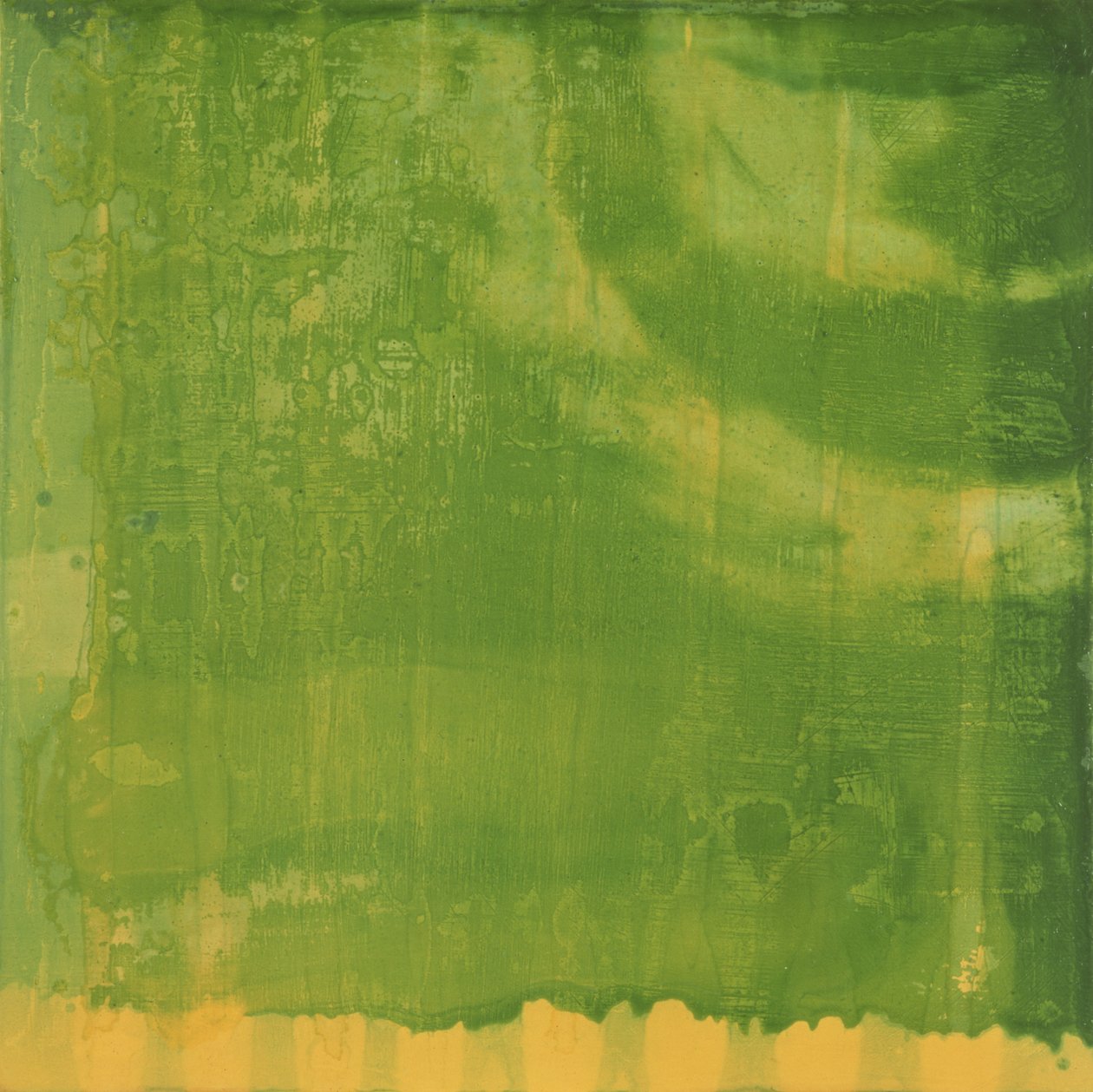 Bluerine Green, 1997 de Charlotte Johnstone