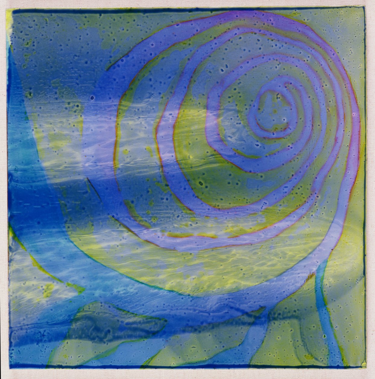 Laguna Boodhoo, 2000 de Charlotte Johnstone