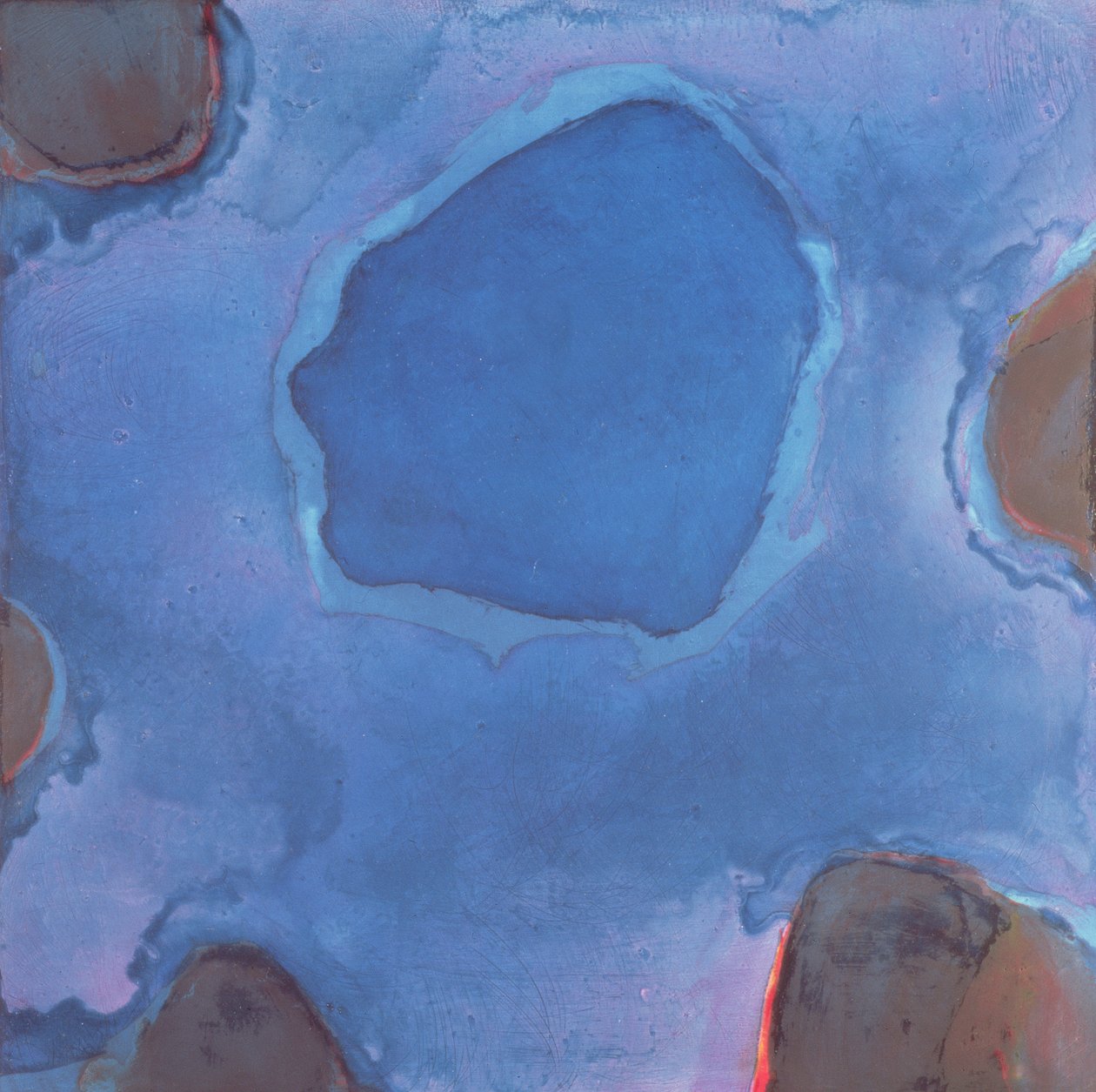 Friesian Blue, 1997 de Charlotte Johnstone