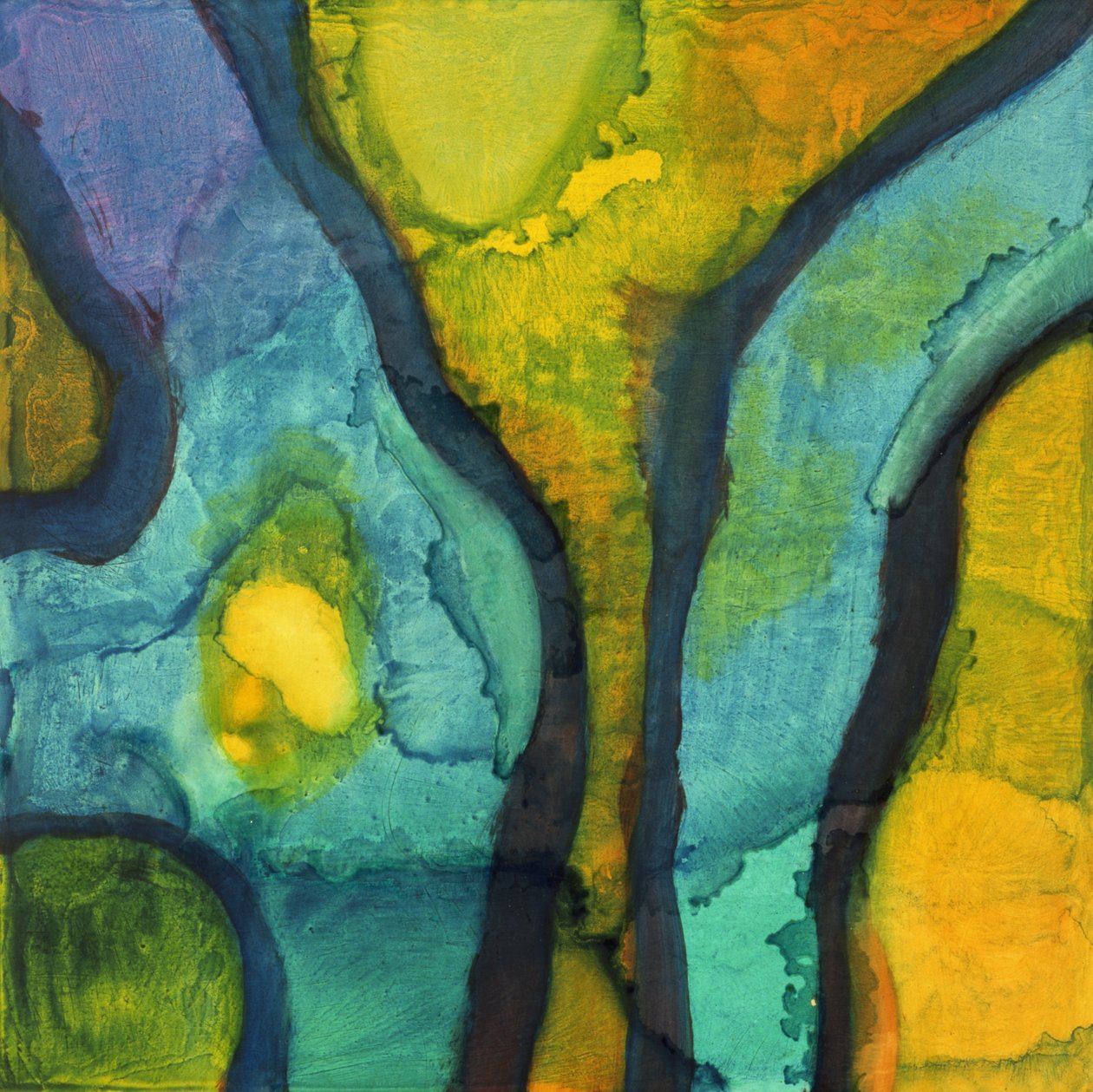 Goby, 1997 de Charlotte Johnstone