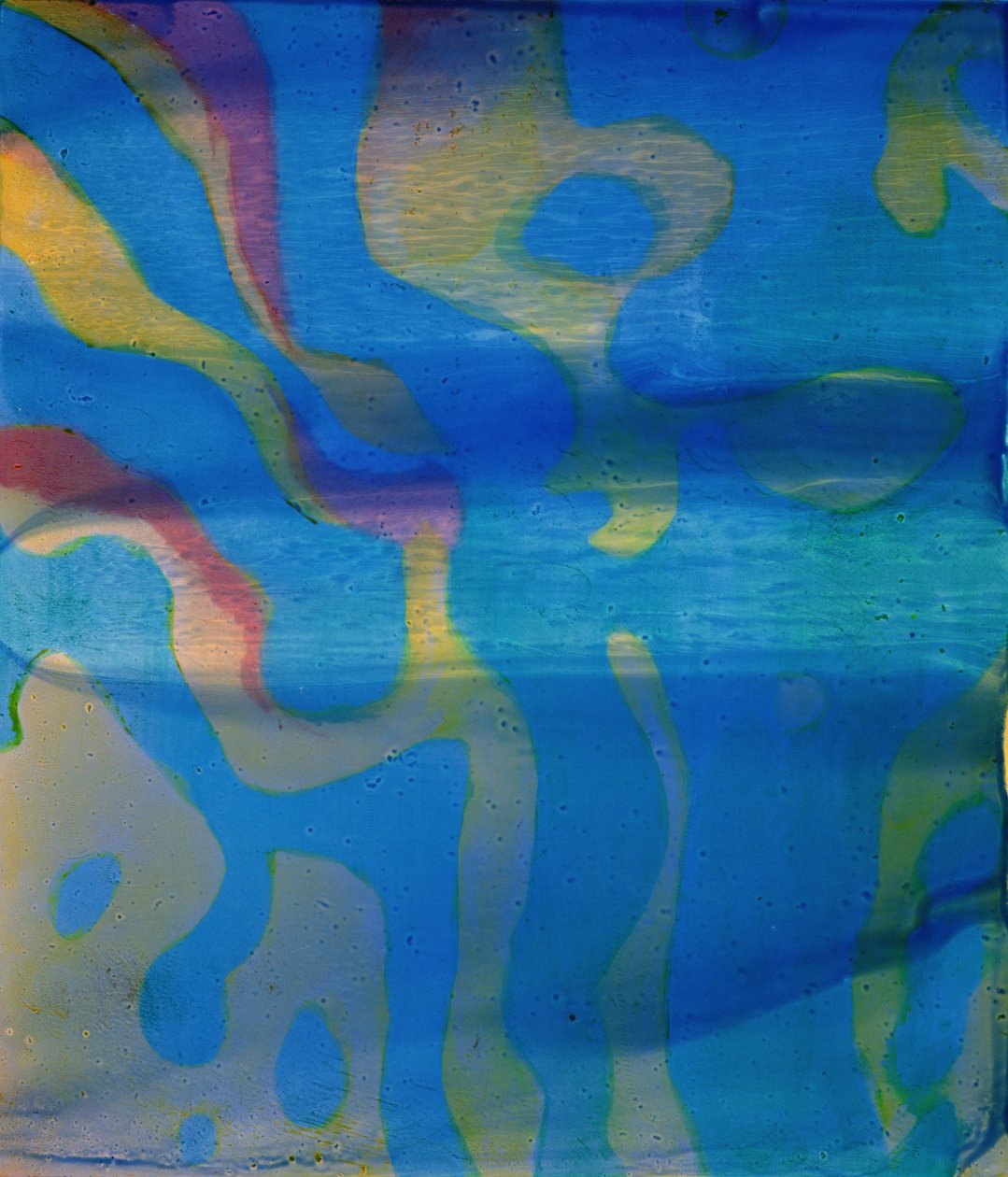 Indio moreno, 2000 de Charlotte Johnstone