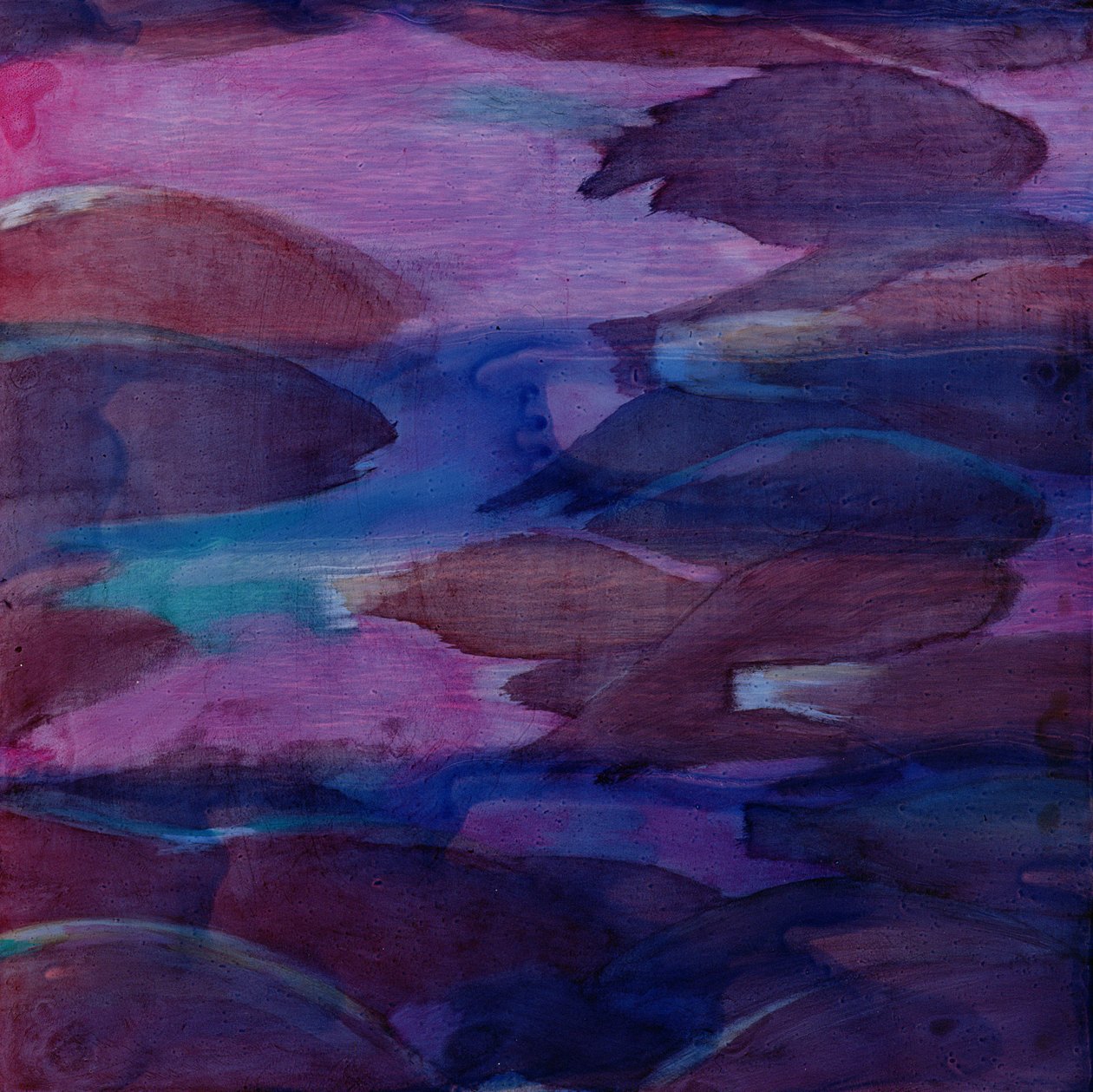 Loros púrpuras VI, 2000 de Charlotte Johnstone