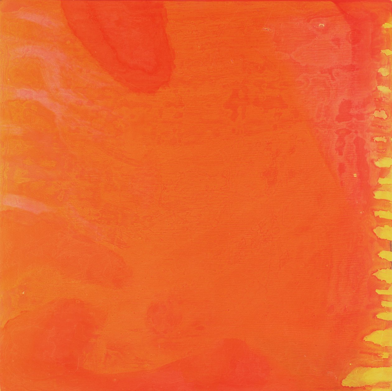 Conejo naranja, 1997 de Charlotte Johnstone