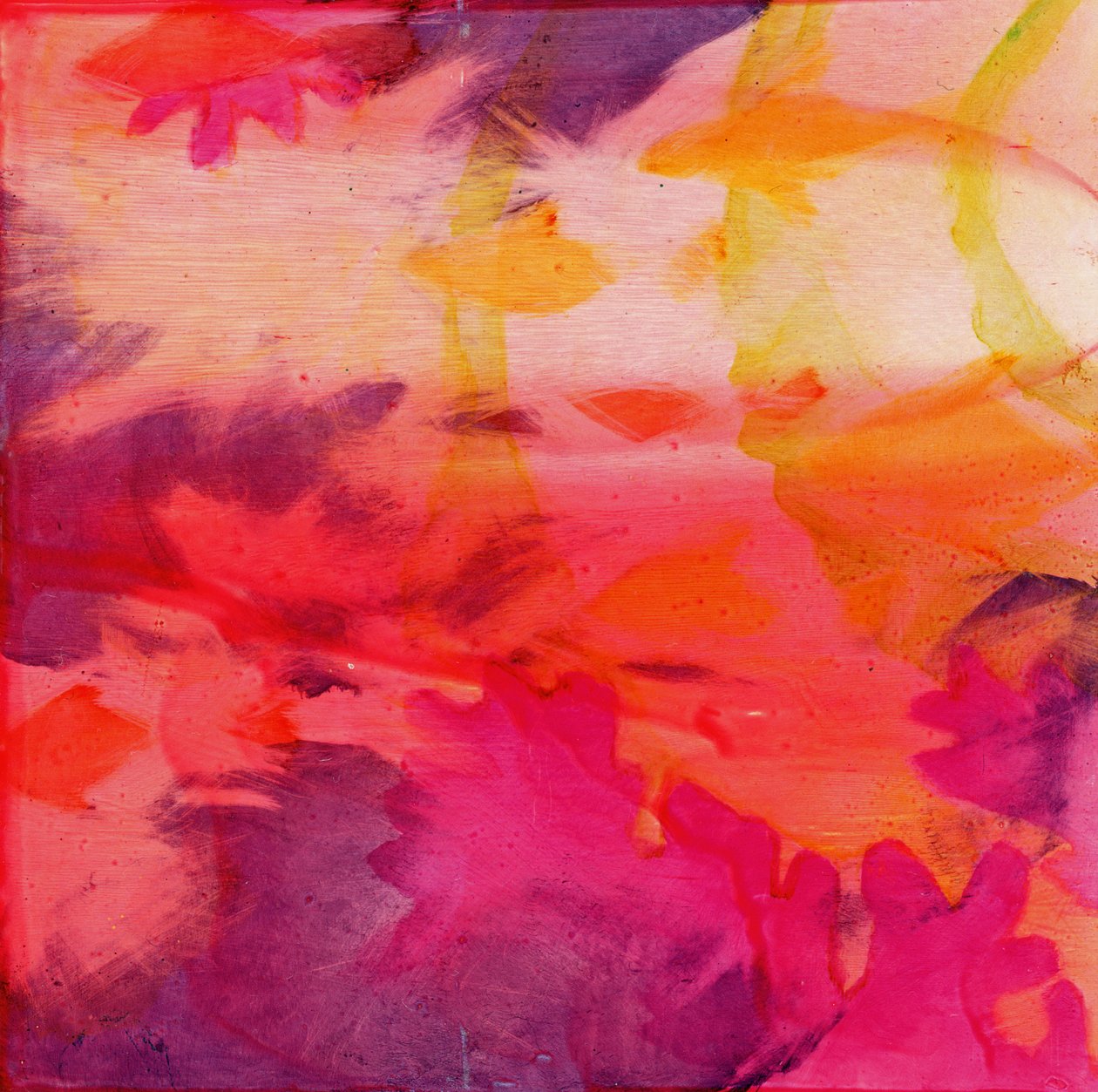 Peces Vacos, 2000 de Charlotte Johnstone