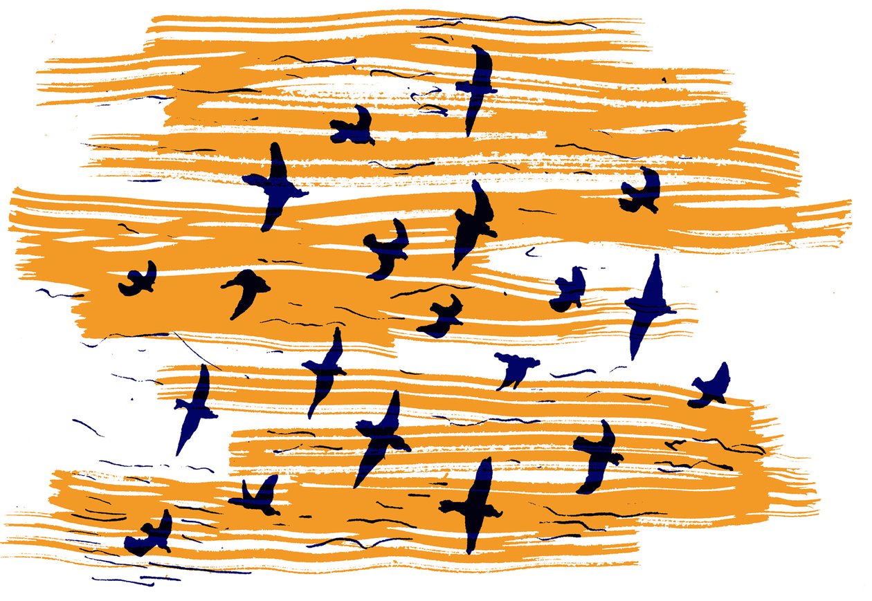 Pájaros volando, 2020 de Charlotte Orr