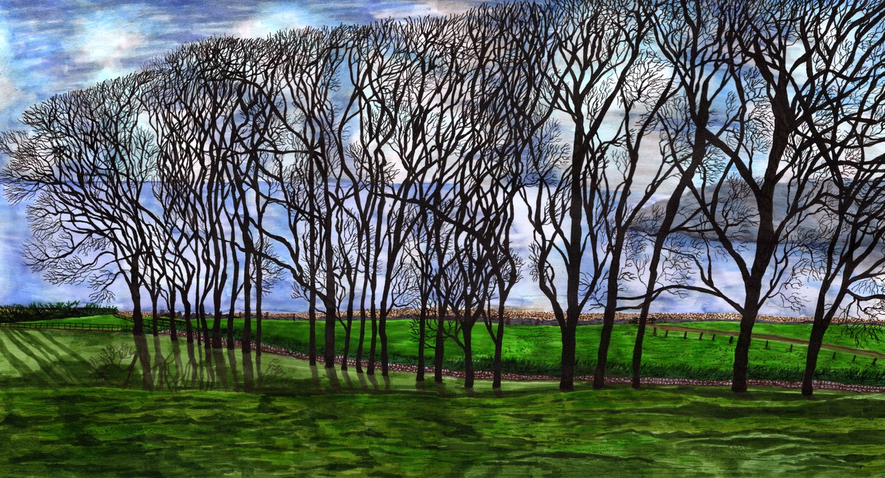 Cushendun, Irlanda del Norte, 2020 de Charlotte Orr
