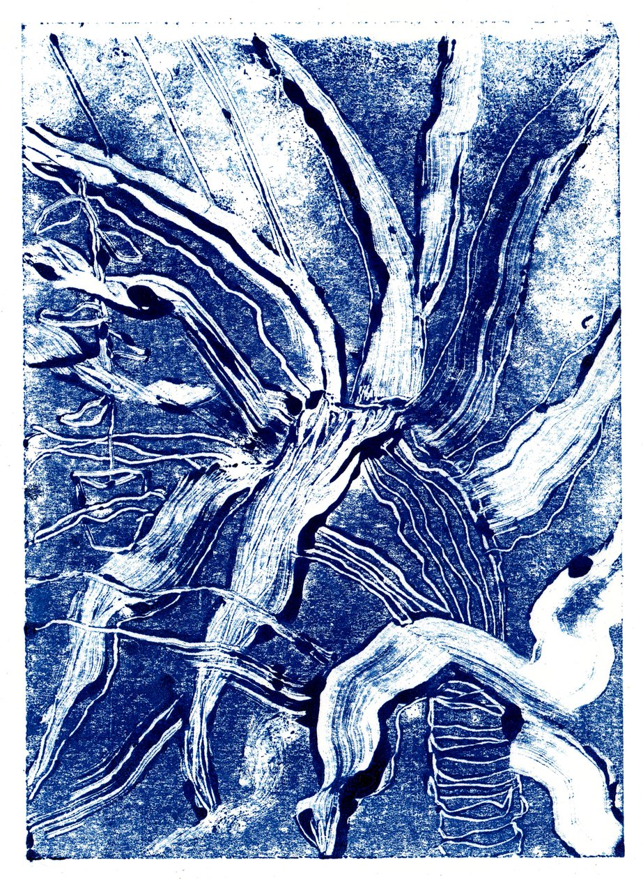 Plantas Tintas no.2, 2019 de Charlotte Orr
