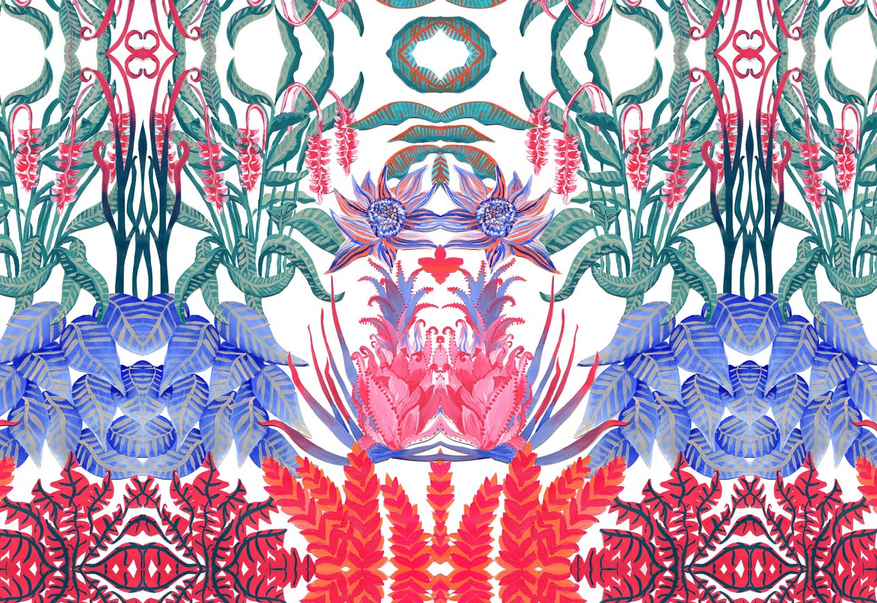 Jungle Jim de Charlotte Orr