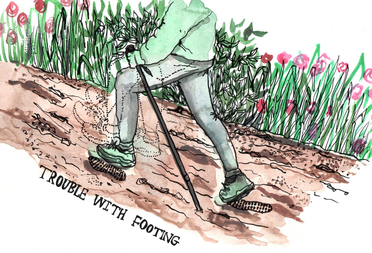 Ilustraciones de Parkinson, 2019 de Charlotte Orr