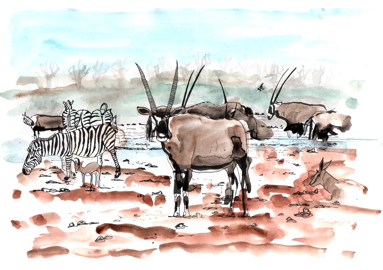 Safari, 2018 de Charlotte Orr
