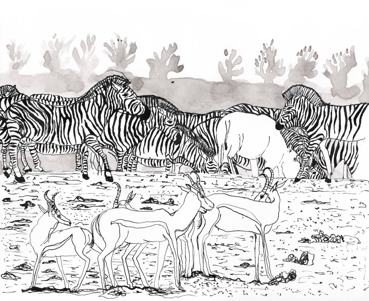 Safari 3 de Charlotte Orr
