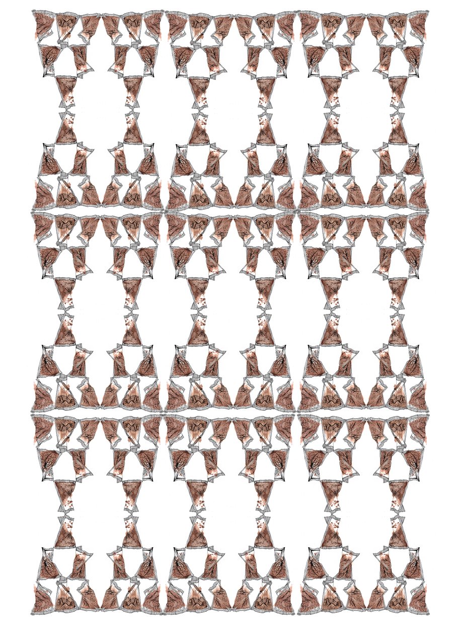 Diseño de empaque de té, 2018 de Charlotte Orr