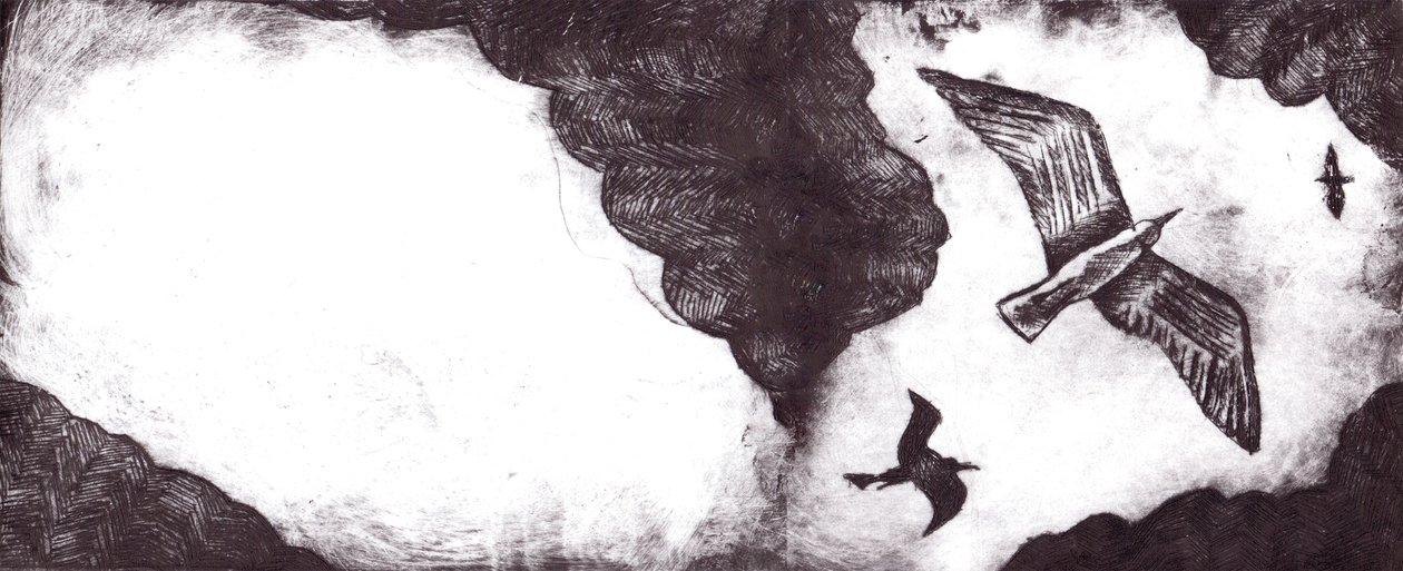El cuento de la gaviota, 2012 de Charlotte Orr