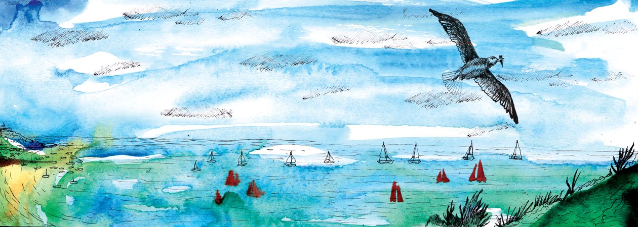 El Cuento de la Gaviota, 2020 de Charlotte Orr