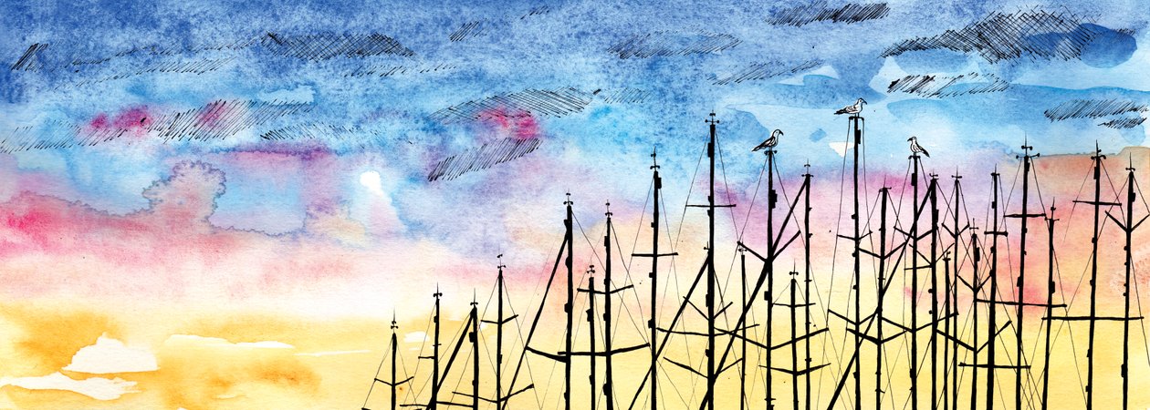 El cuento de la gaviota de Charlotte Orr