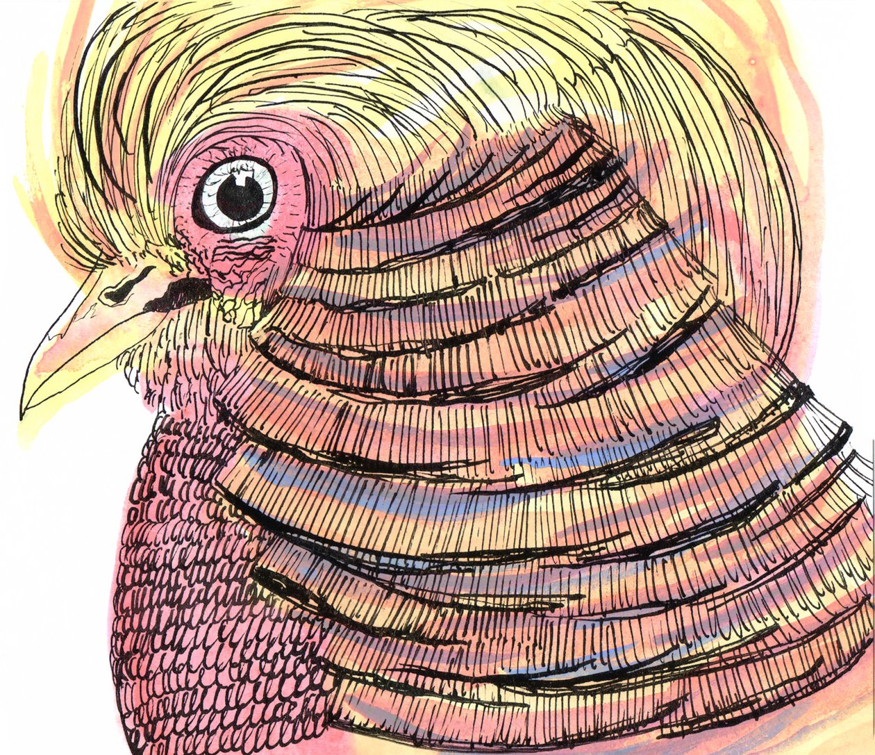 Pájaro tropical, 2018 de Charlotte Orr
