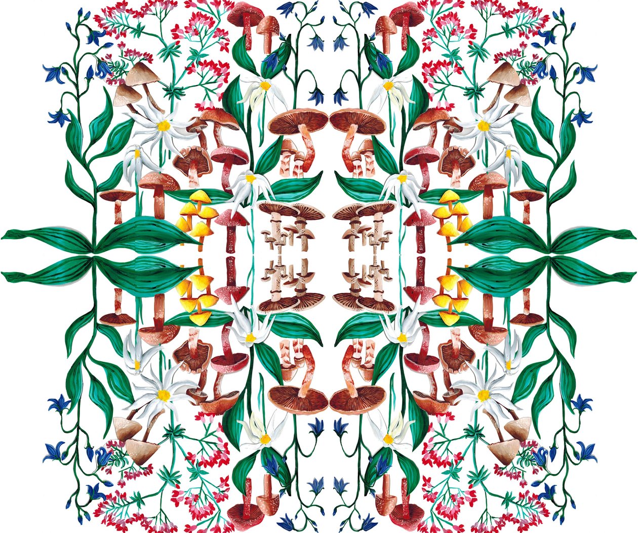 Plantas Silvestres, 2015 de Charlotte Orr