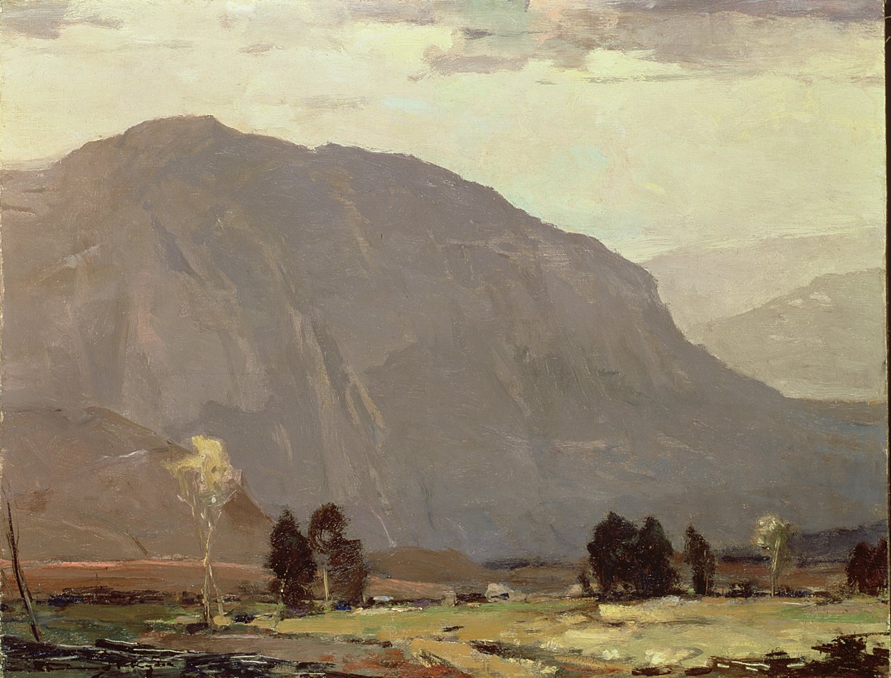 Bald Mountain, Tennessee (óleo sobre lienzo) de Chauncey Foster Ryder