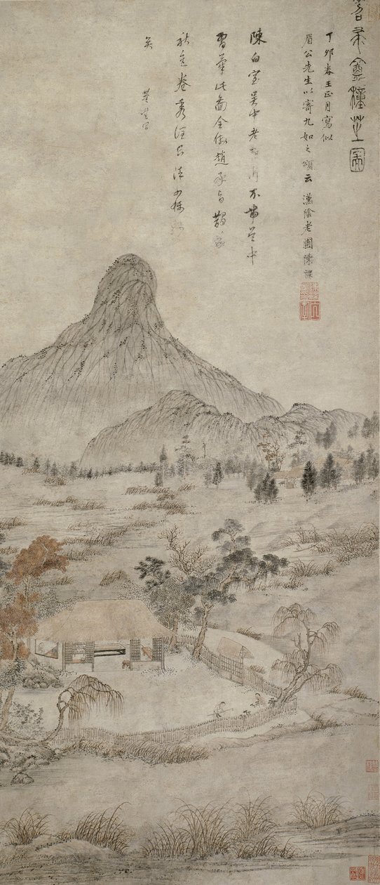 Plantando Hongo Fragante en el Tiaozhou