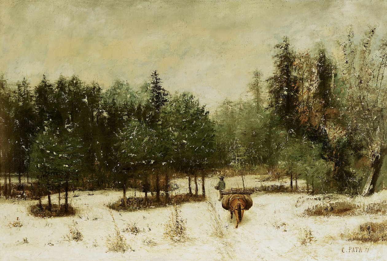 Entrada al Bosque en Invierno. Efecto de Nieve, 1873 de Cherubino Pata