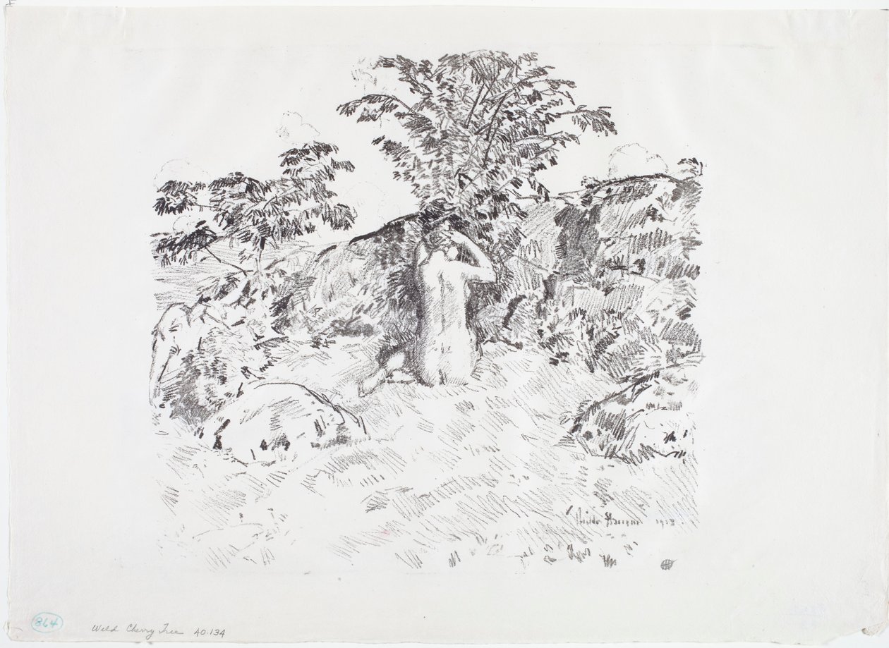 Cerezo silvestre de Childe Frederick Hassam