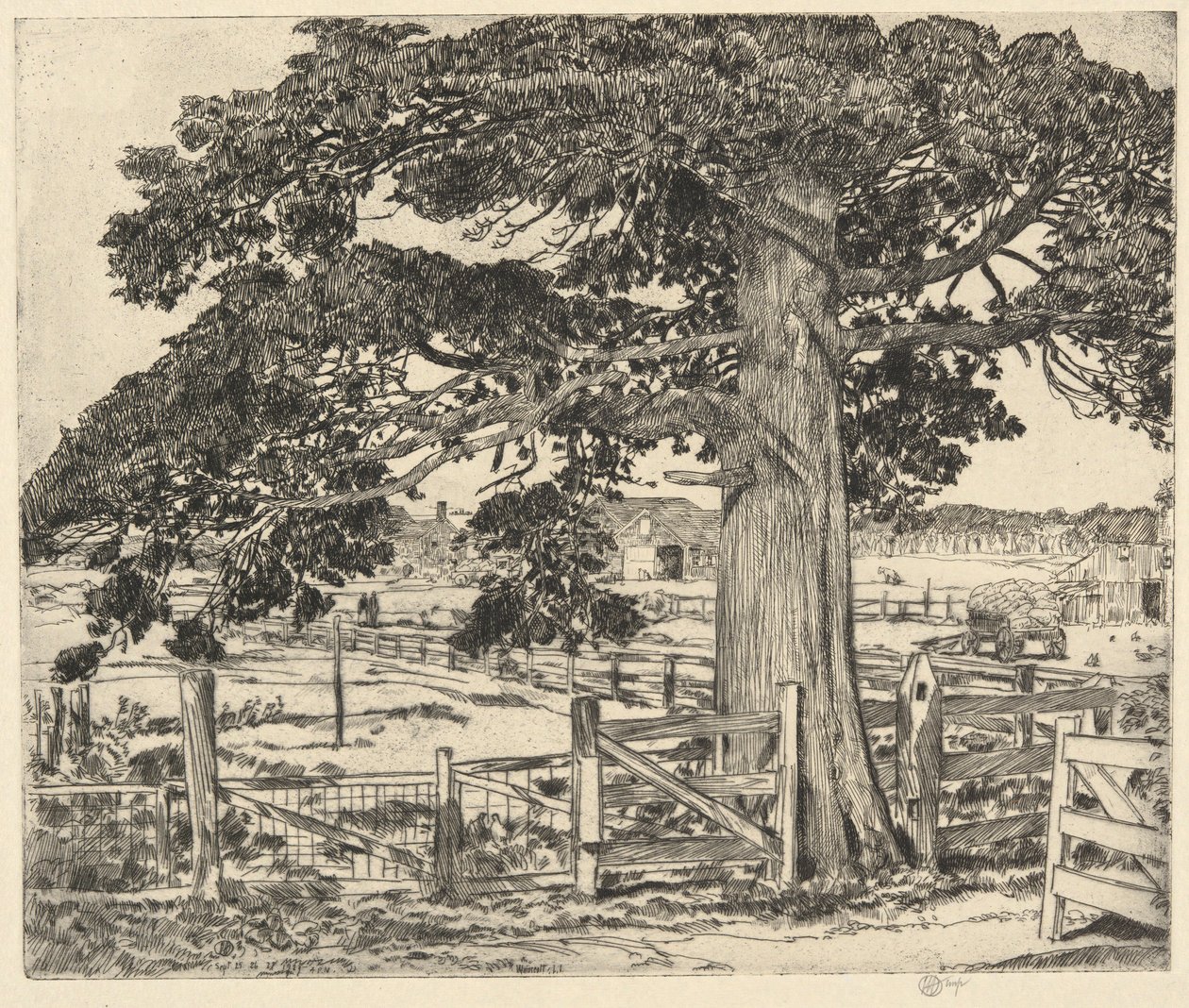 Big Cedar, Wainscott, LI, 1929 de Childe Hassam