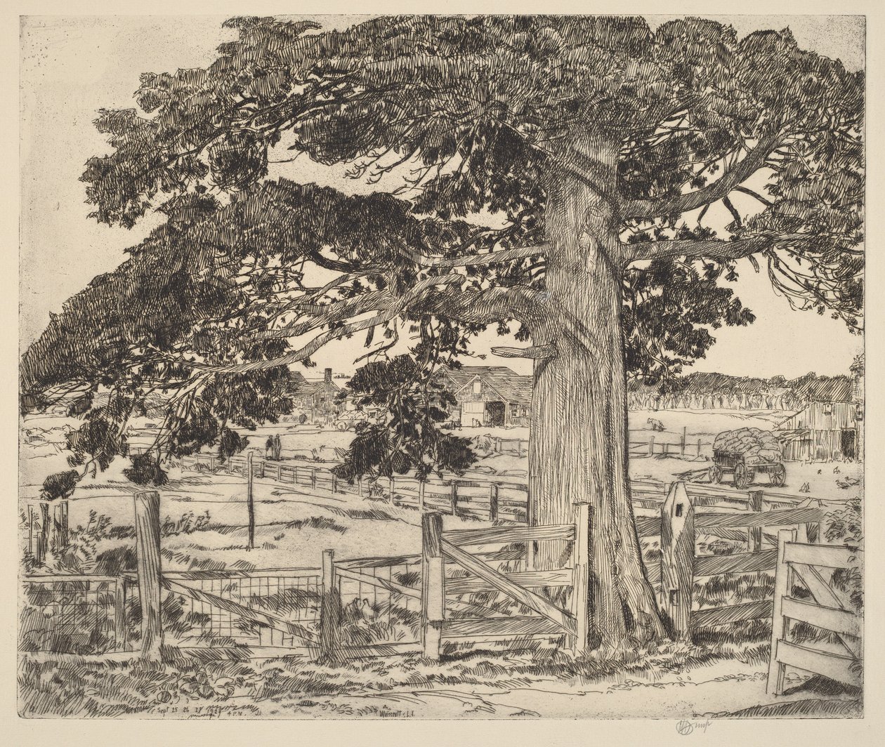 El gran cedro de Childe Hassam