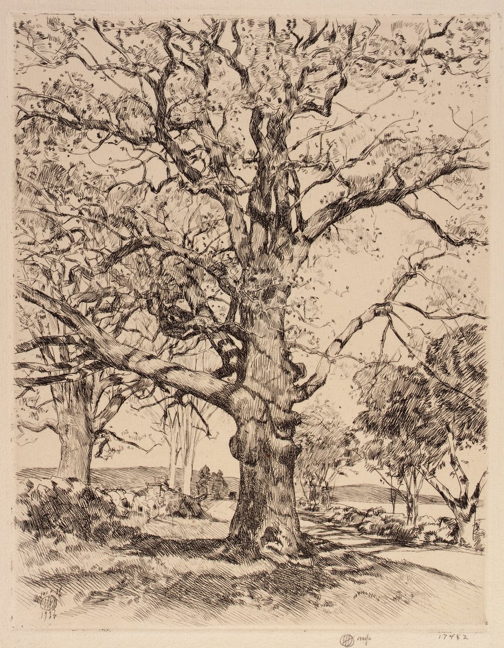 Wayside Inn Oaks en primavera de Childe Hassam