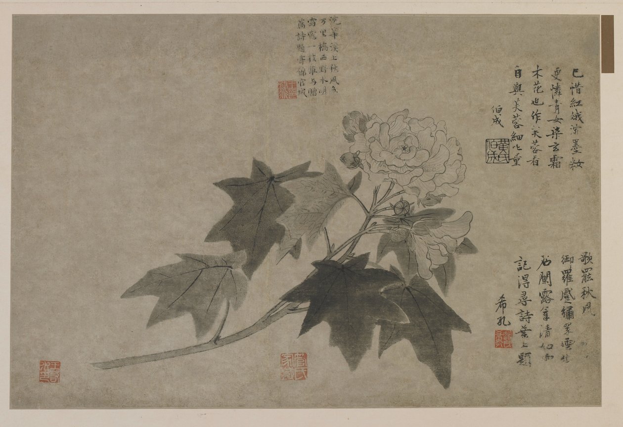 Una rama de peonía de madera, posiblemente dinastía Qing de Chinese School