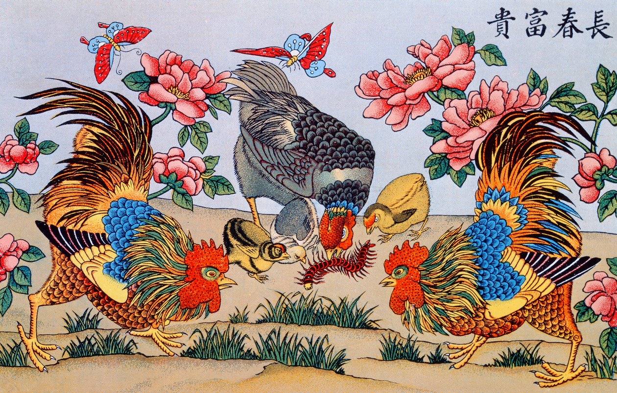 Gallo matando a un ciempiés, ilustración de Recherches sur les superstitions en Chine, publicada en Shanghái por Imrimerie de la Mission Catholique, 1929 de Chinese School