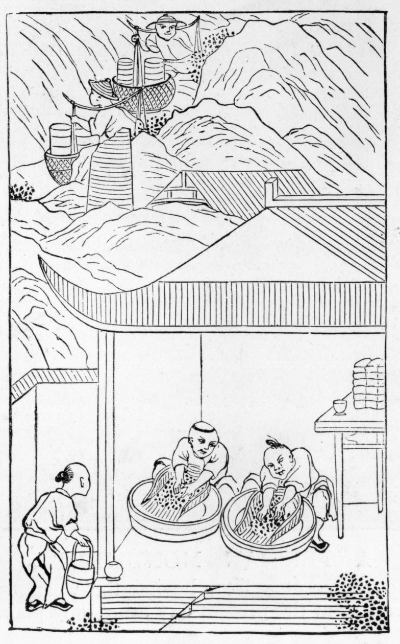 Recolección y lavado del esmalte azul para colorear, de una serie de ilustraciones sobre la fabricación de porcelana de Chinese School