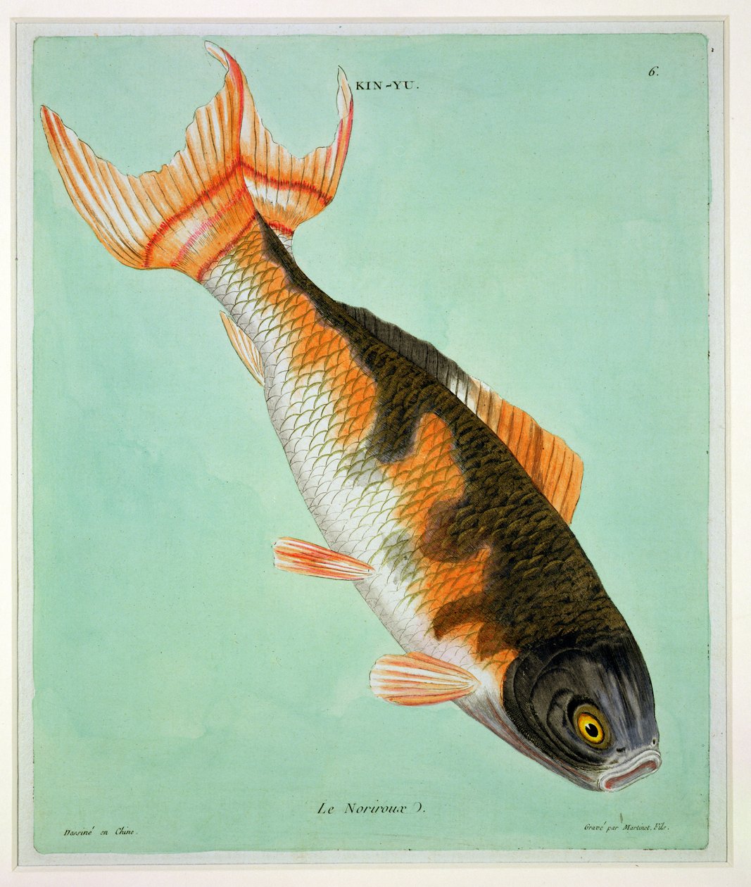 Le Noriroux, grabado por François Nicholas Martinet (1731-p.1796) de Chinese School