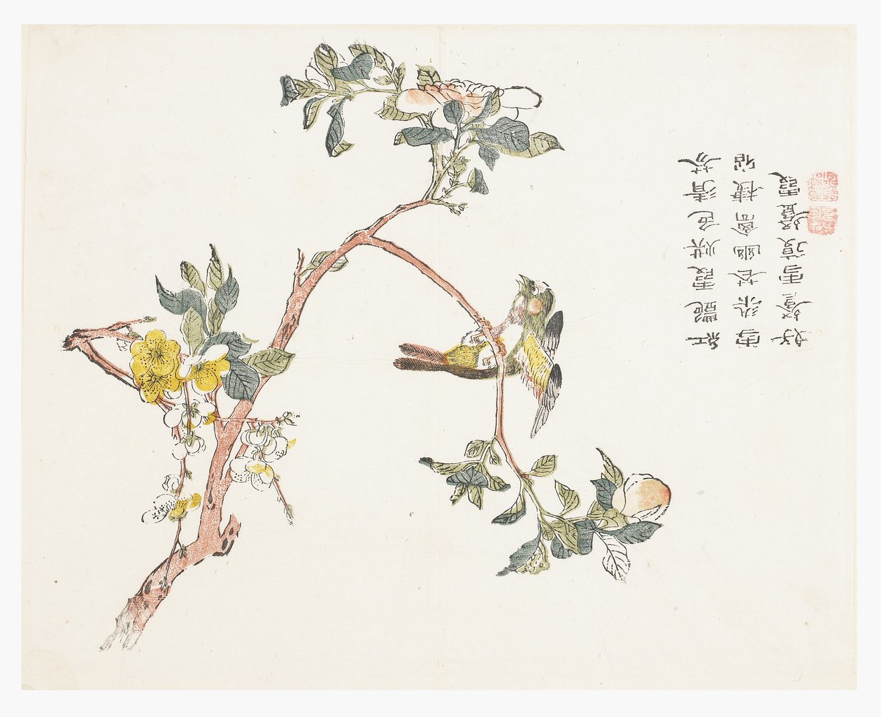 Jardín de semillas de mostaza de Chinese School