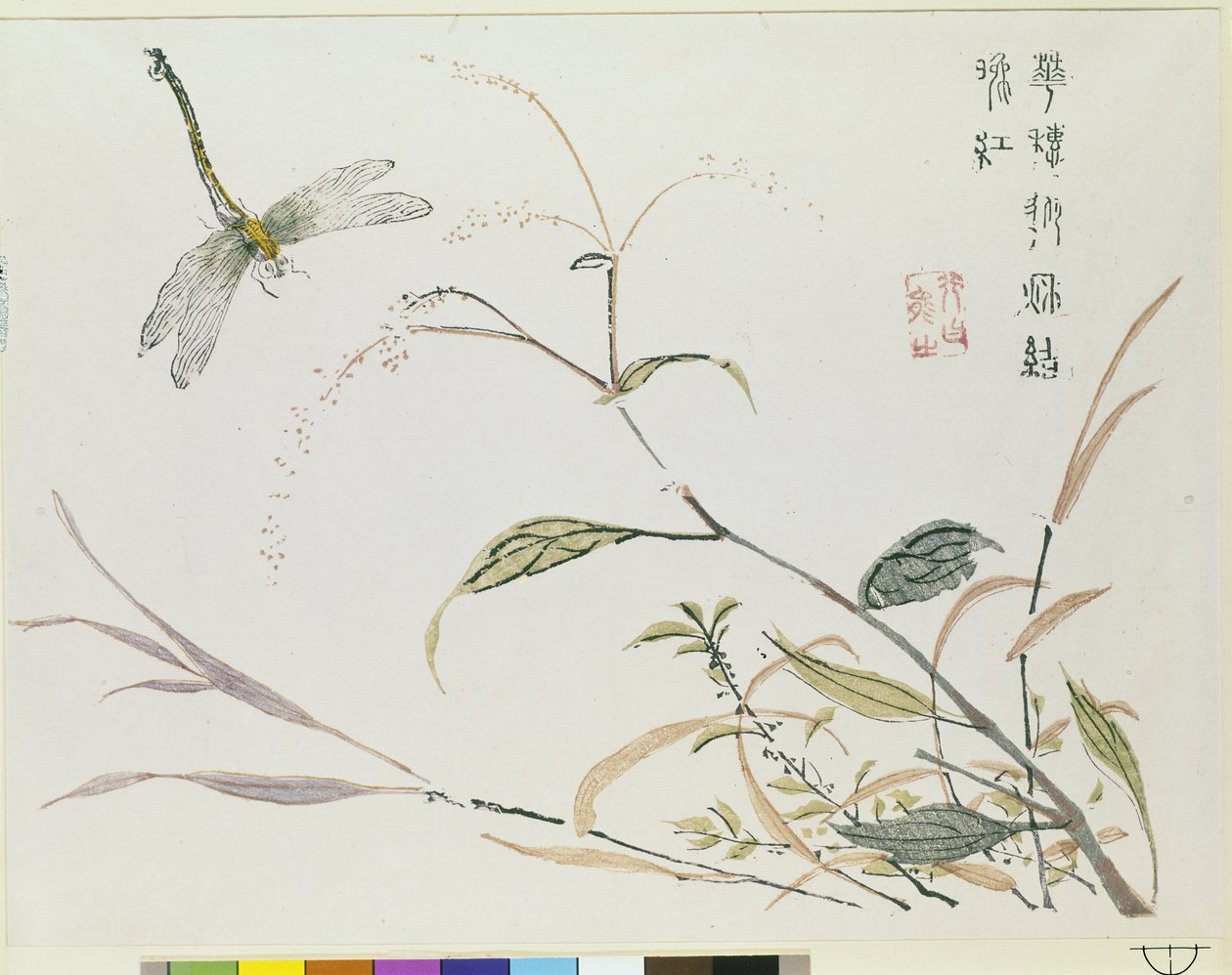 Jardín de Semillas de Mostaza de Chinese School