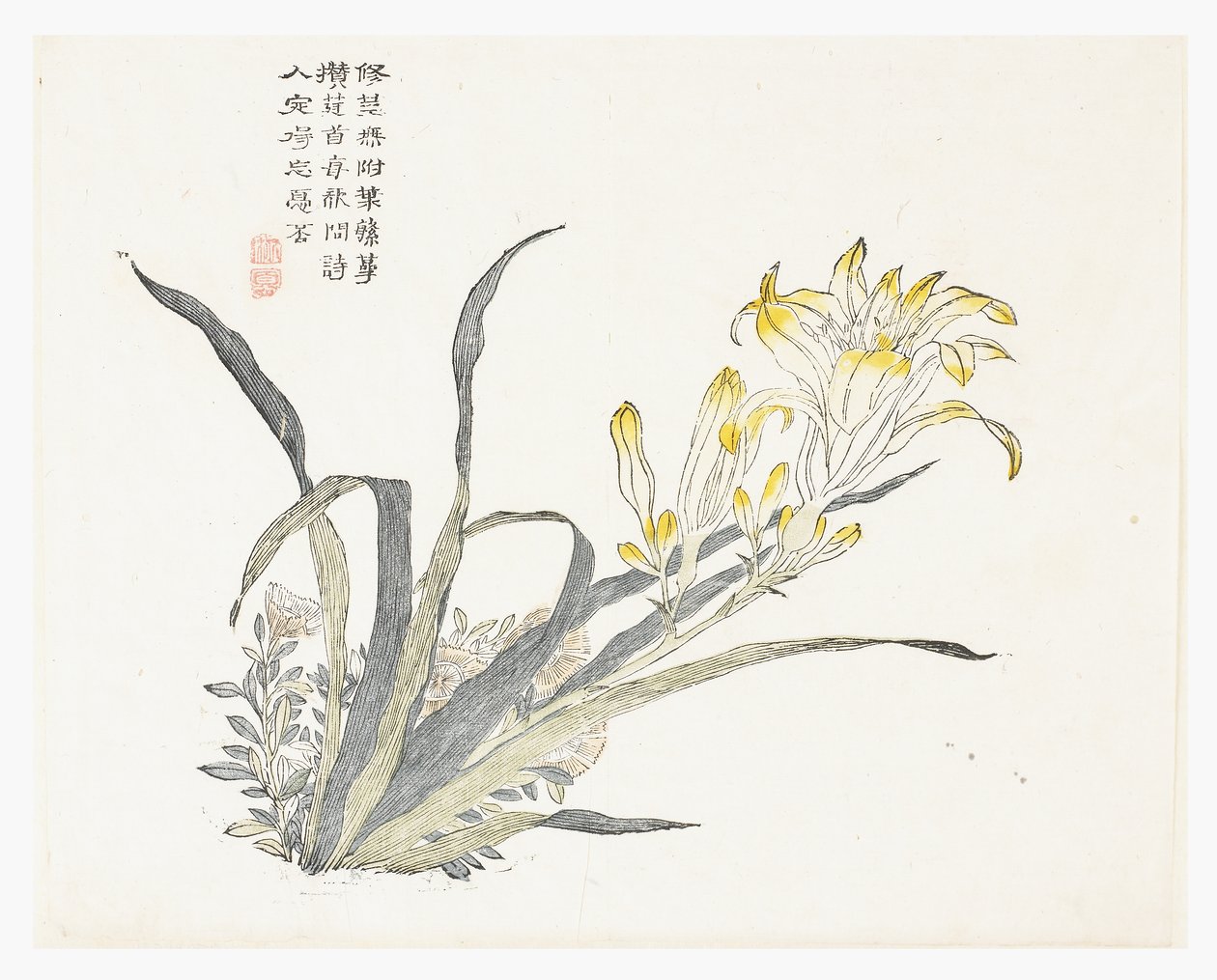 Jardín de Semillas de Mostaza de Chinese School