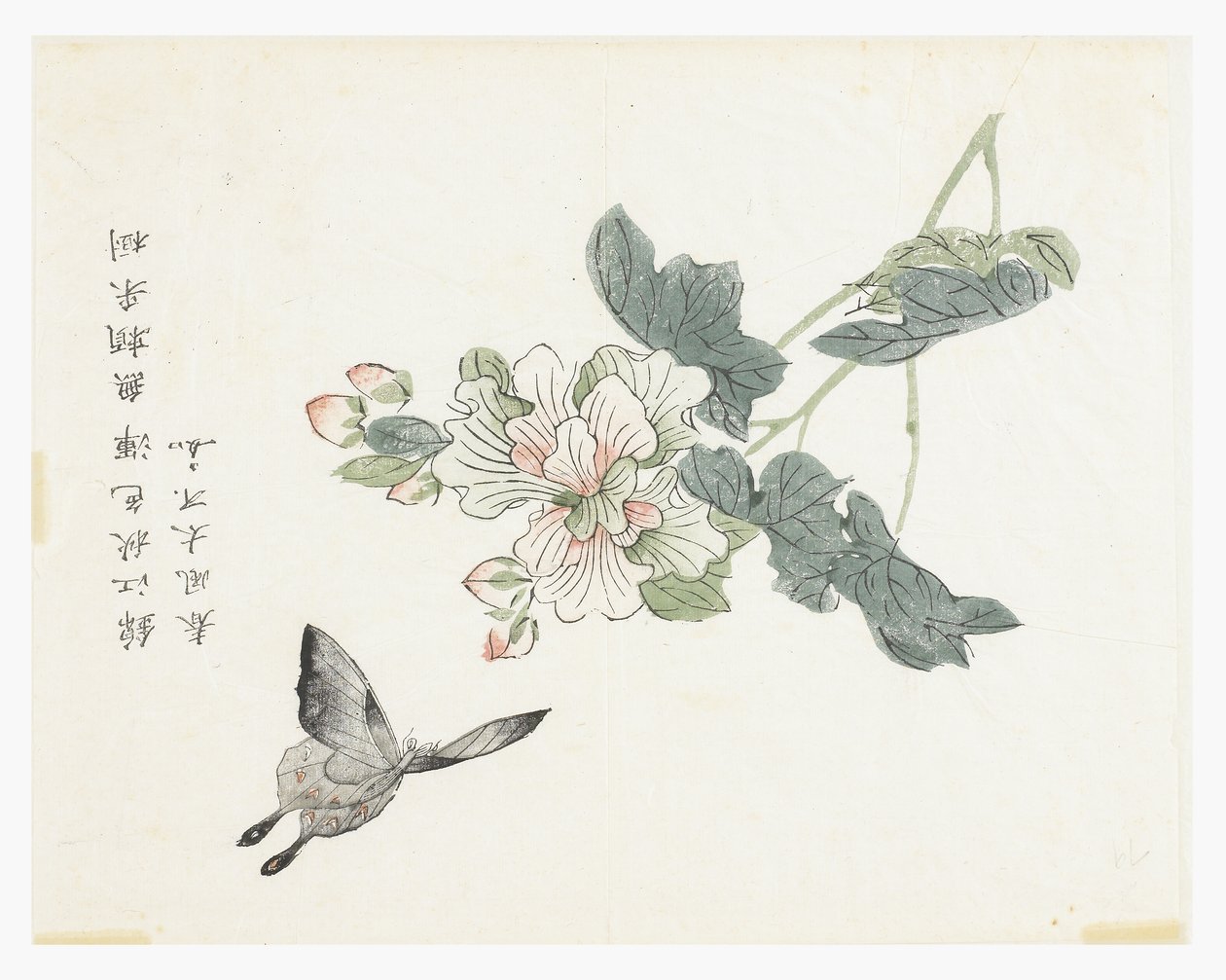 Jardín de Semillas de Mostaza de Chinese School