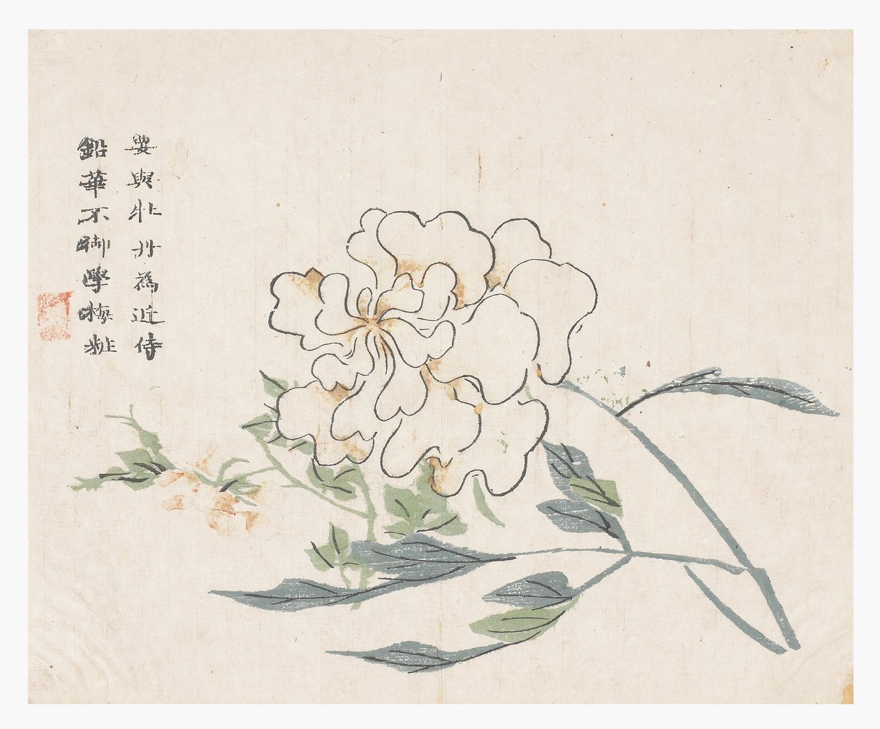 Jardín de Semillas de Mostaza de Chinese School