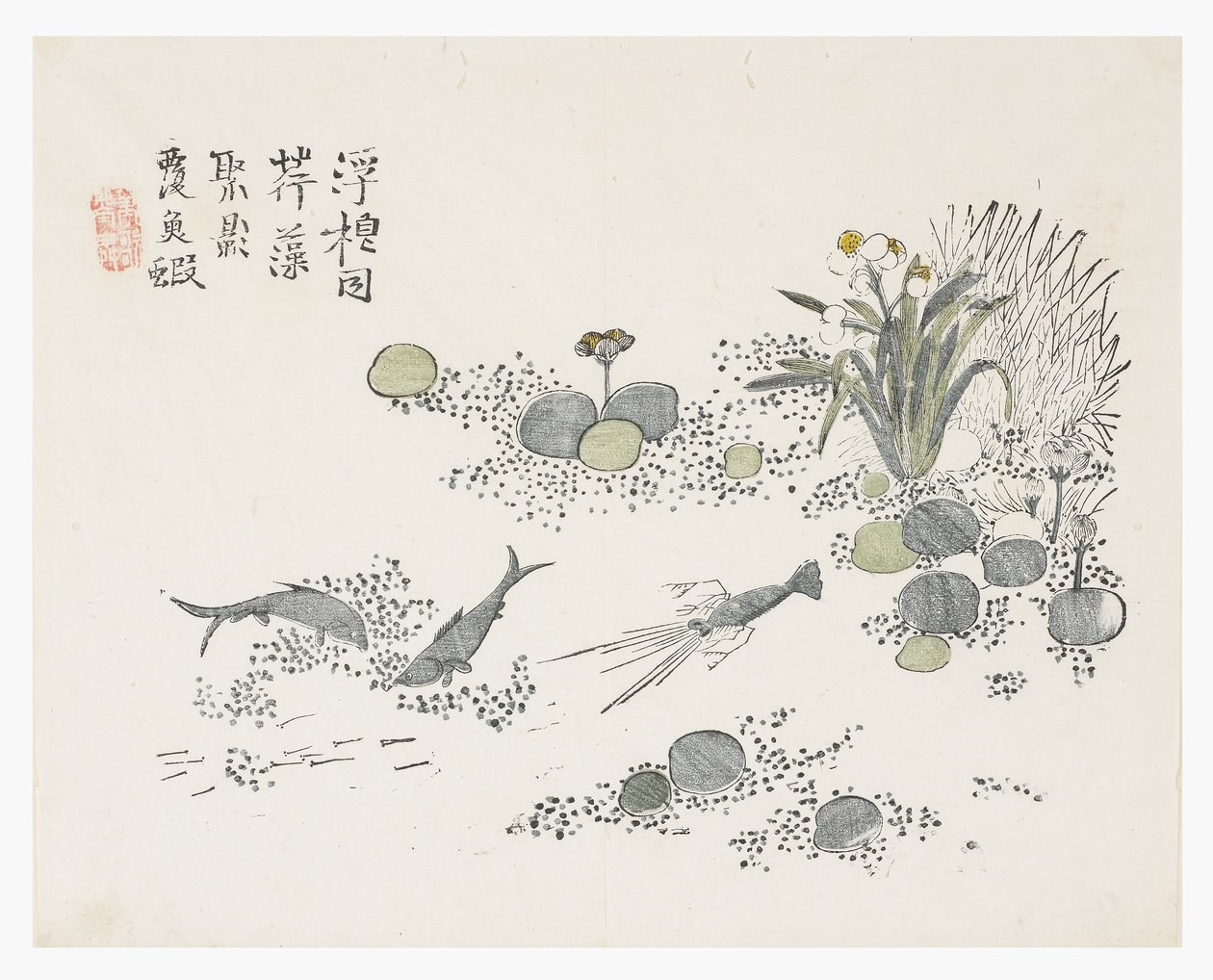 Jardín de Semillas de Mostaza de Chinese School