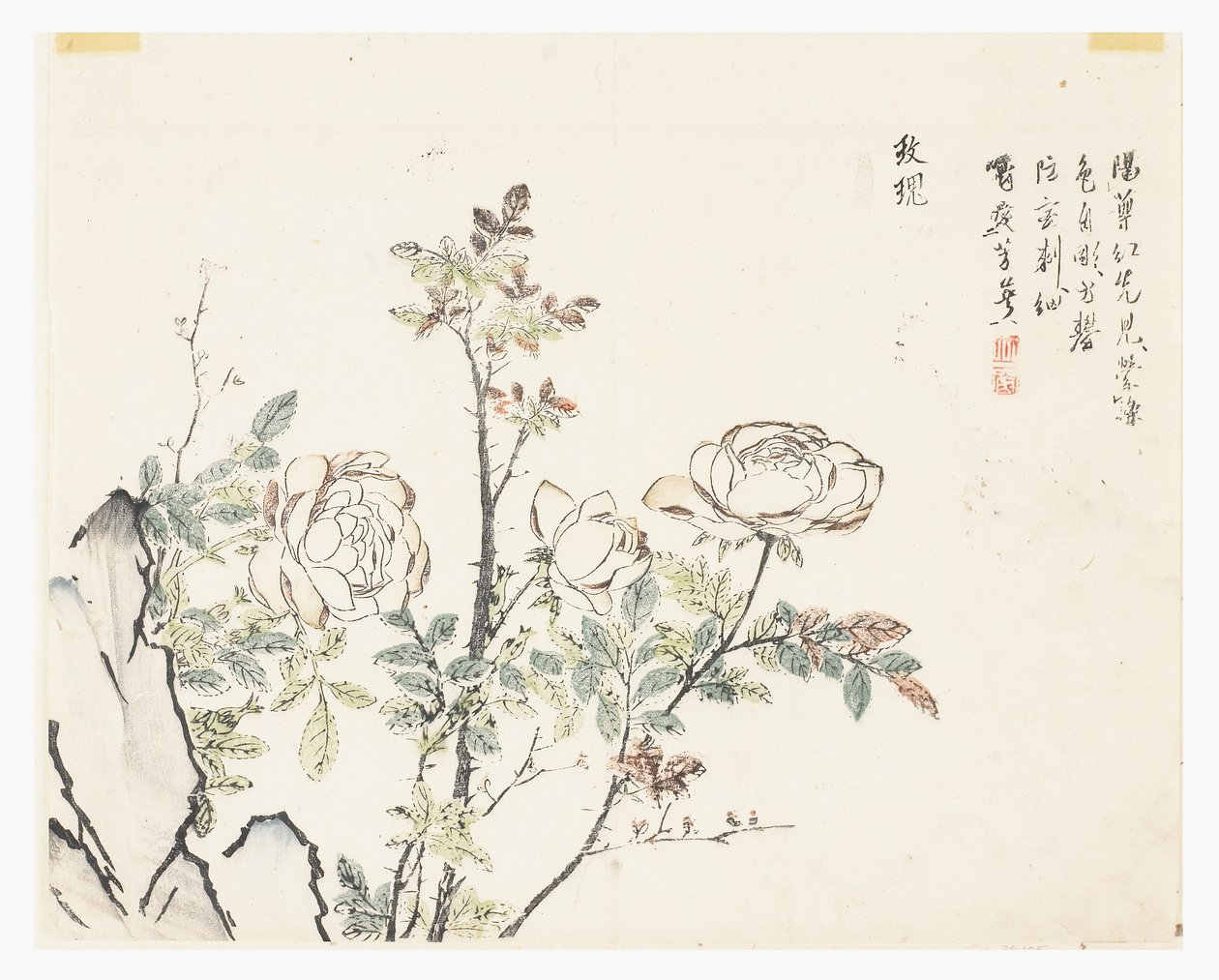 Jardín de semillas de mostaza de Chinese School