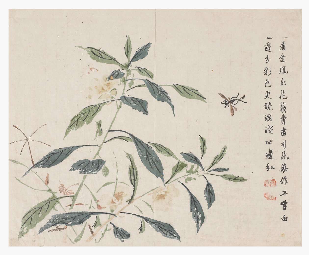 Jardín de semillas de mostaza de Chinese School