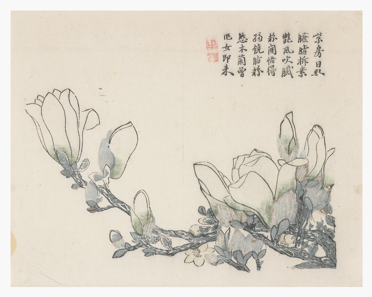 Jardín de semillas de mostaza de Chinese School