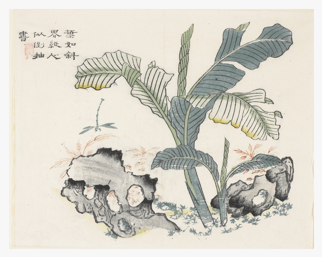 Jardín de la semilla de mostaza de Chinese School