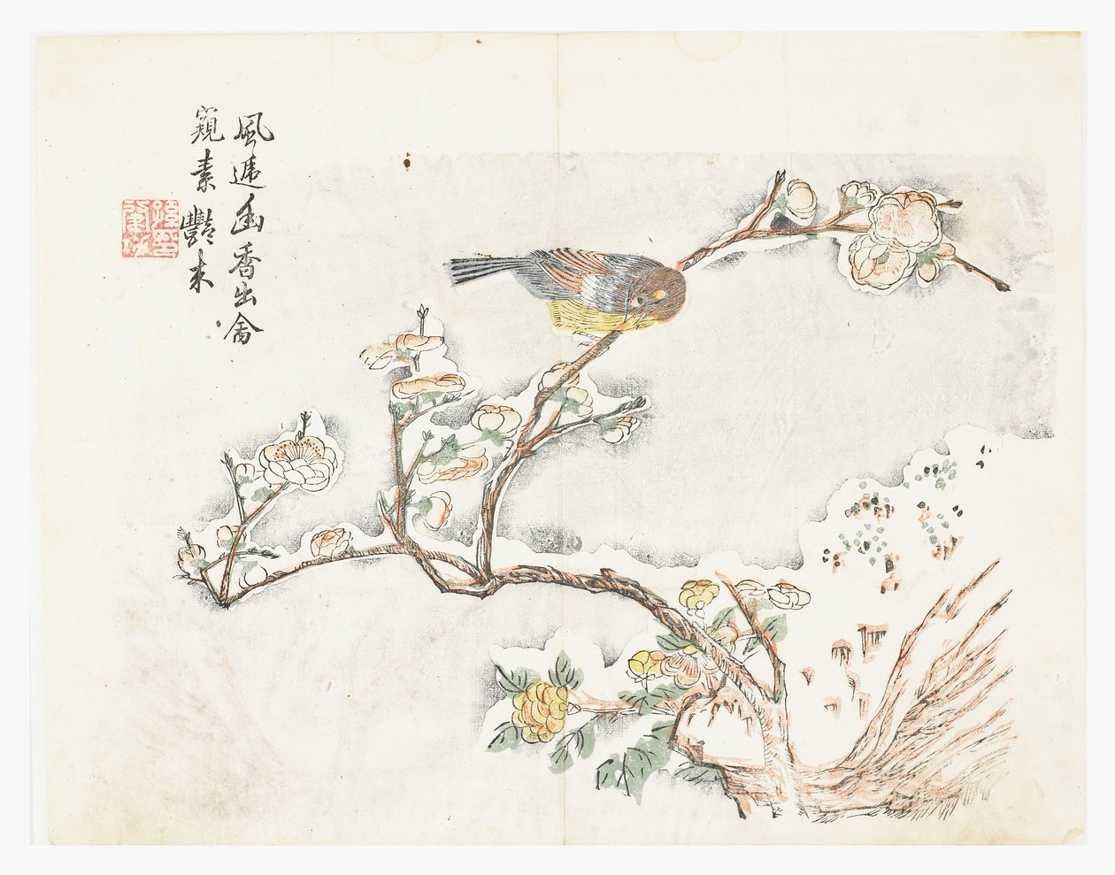 Jardín de semillas de mostaza de Chinese School
