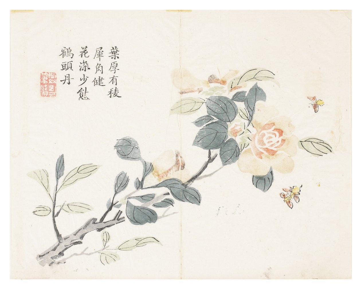 Jardín de semillas de mostaza de Chinese School