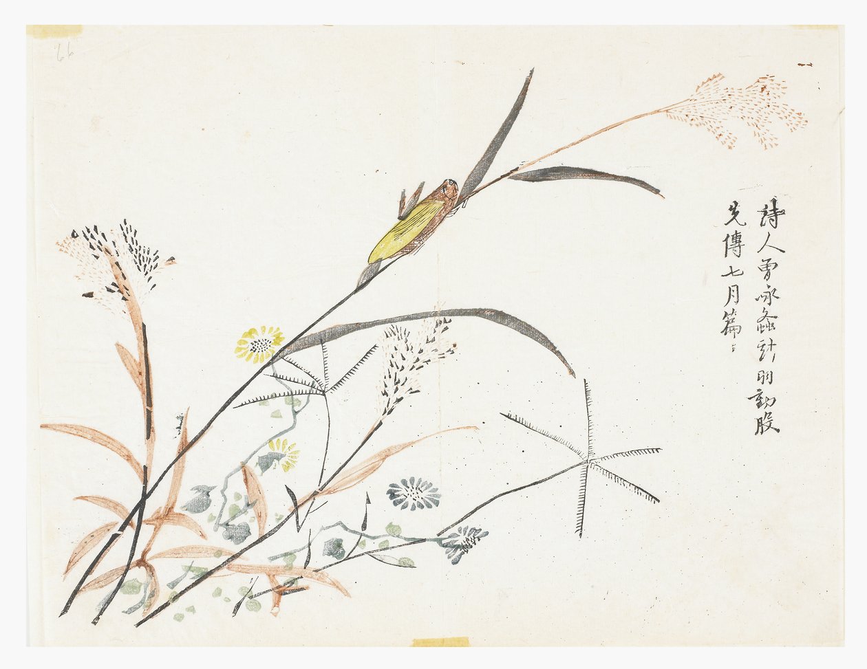 Jardín de semillas de mostaza de Chinese School