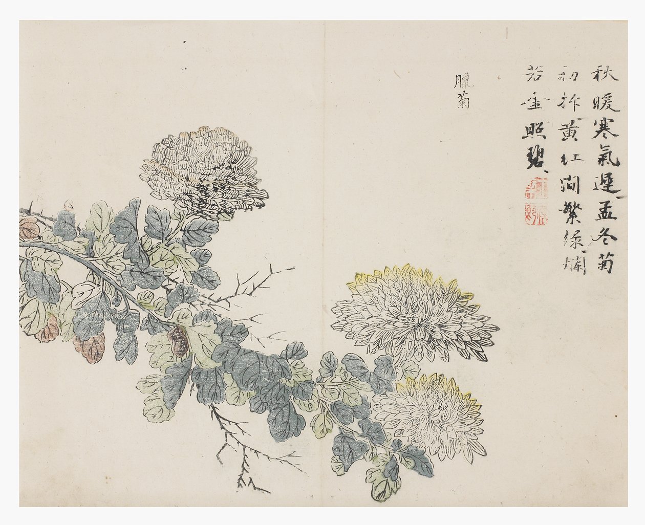 Jardín de semillas de mostaza de Chinese School