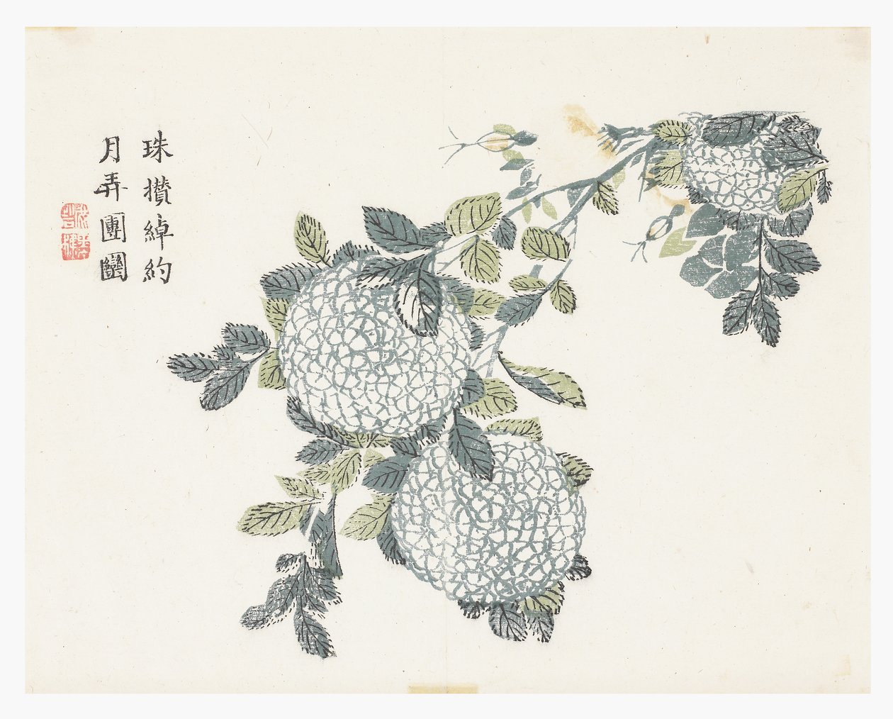 Jardín de Semillas de Mostaza de Chinese School