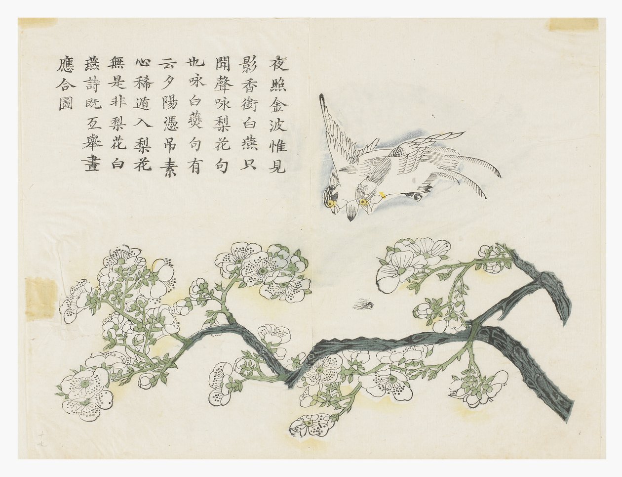 Jardín de Semillas de Mostaza de Chinese School